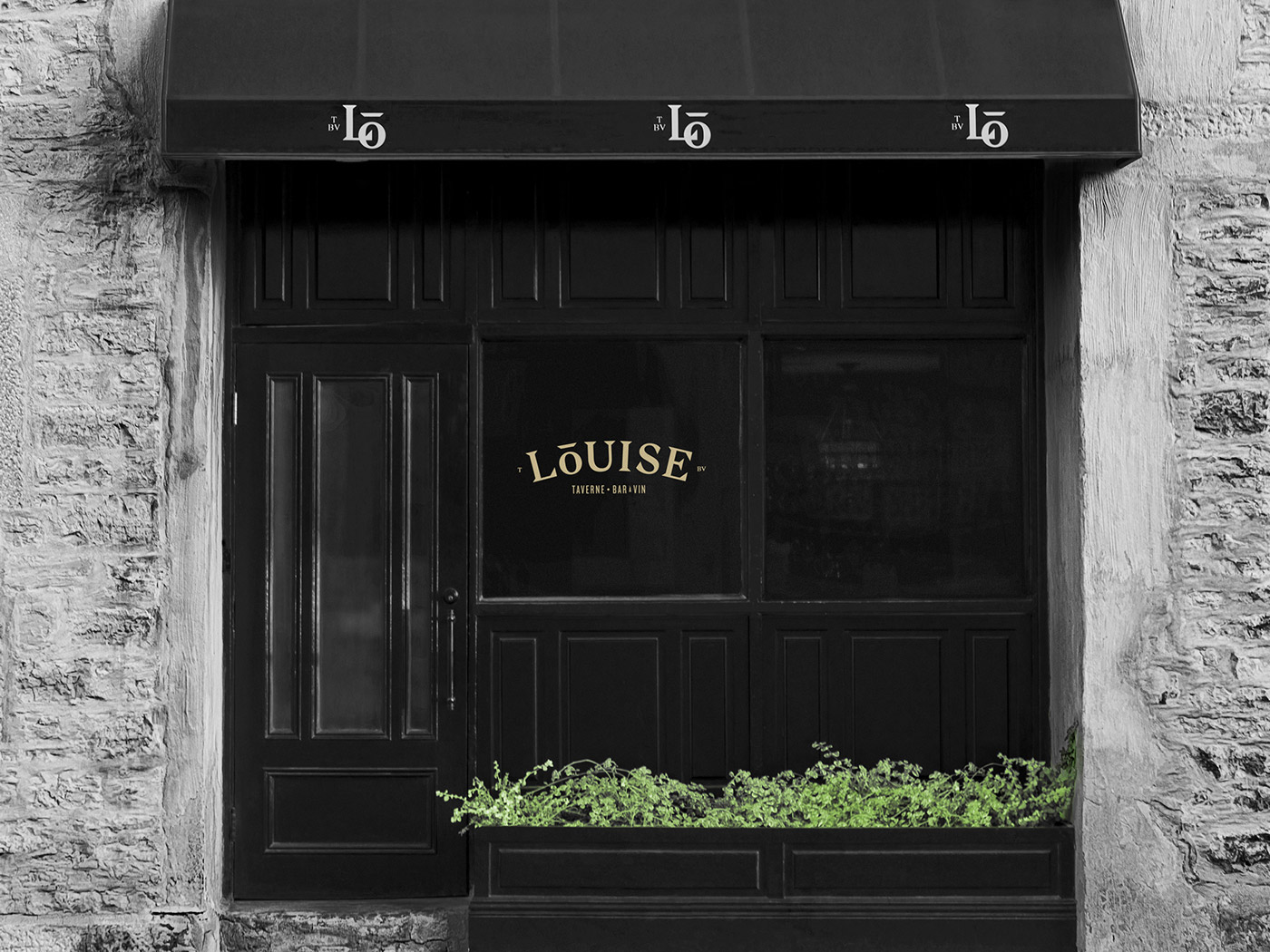 Taverne LouiseVI形象賞析