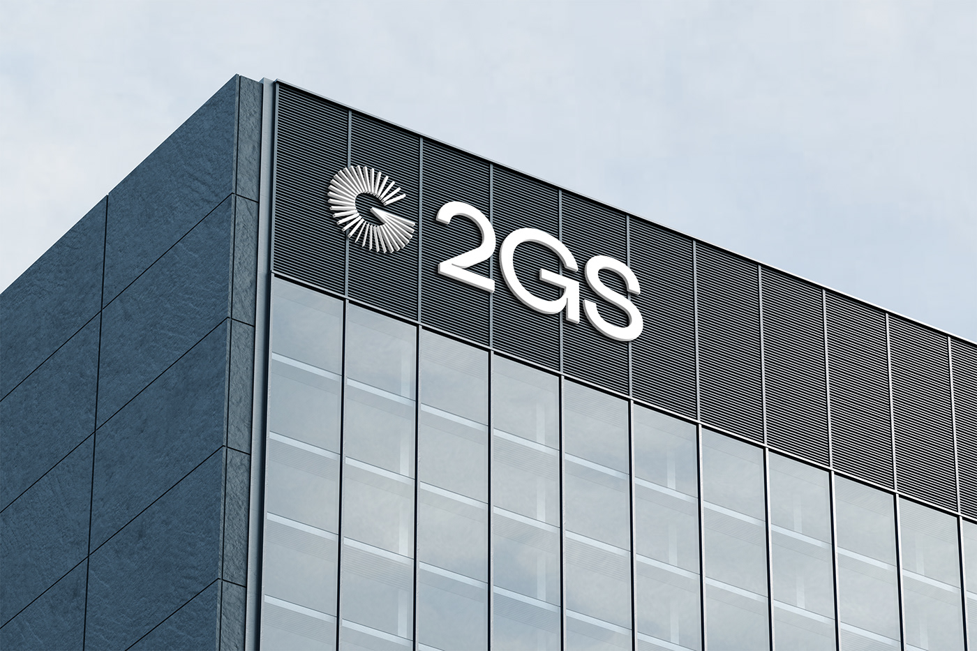 2GS 會計公司品牌LOGO應(yīng)用