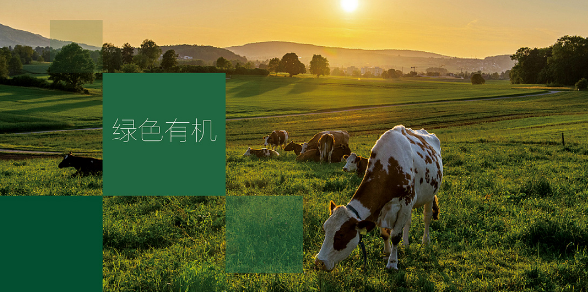深圳廣告設(shè)計(jì)公司